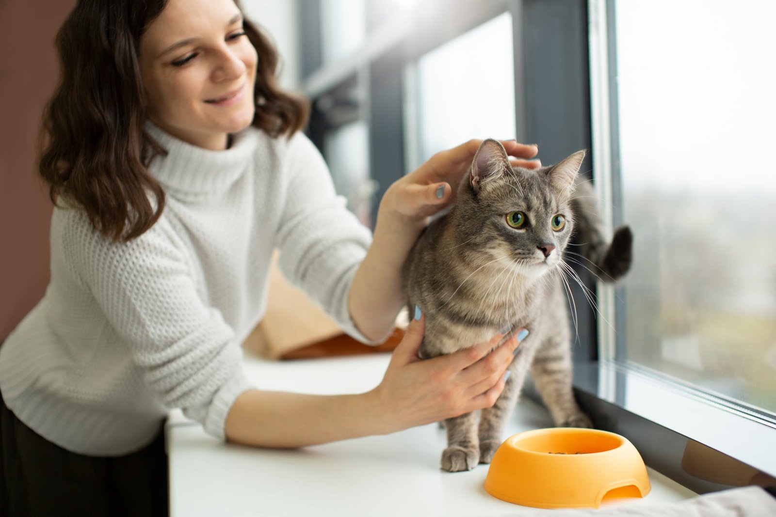 cuidado-de-gatos-a-domicilio-ucipets-24-7